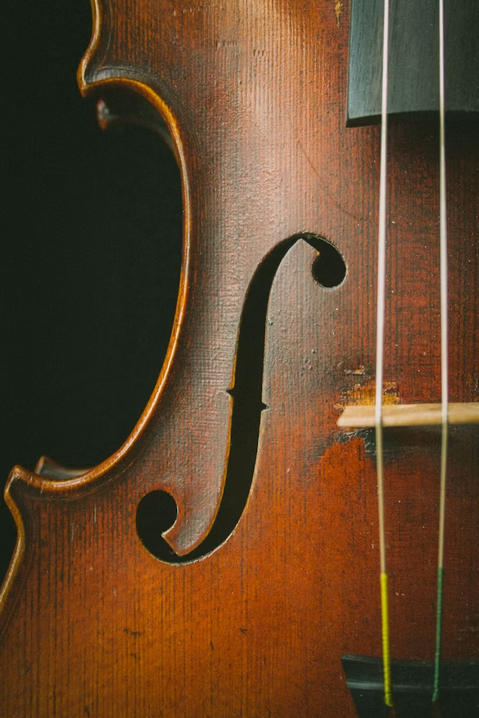 Violon